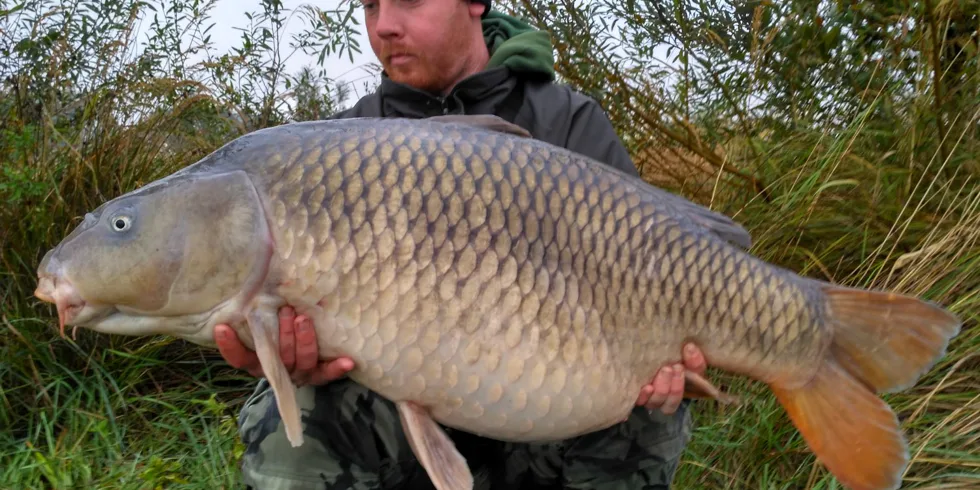 Noční Můra v akci