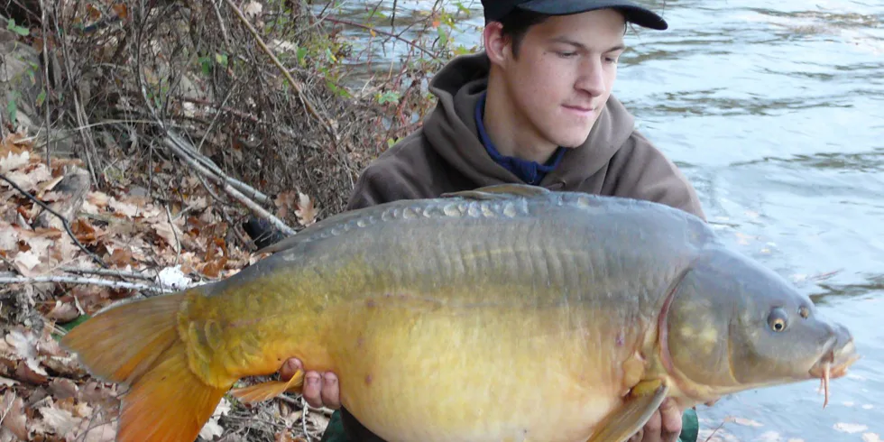 Svazovka blízko bydliště