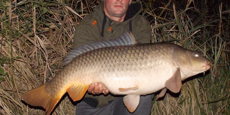 Devill Krill na Vrbenským