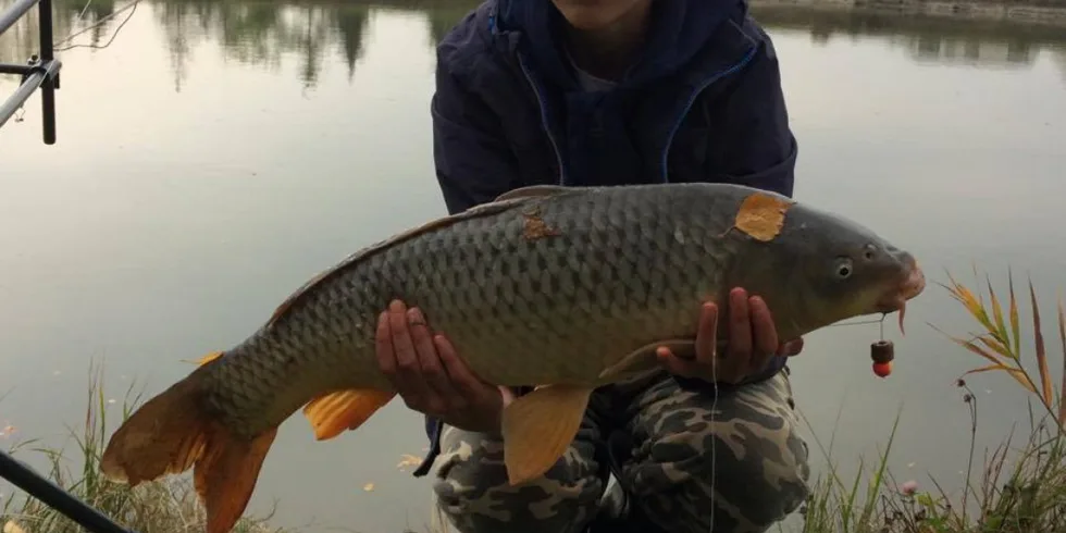 Podzimní dorostenci