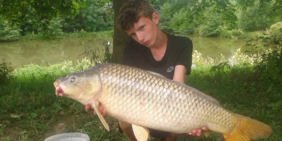 Jeseter na feederový prut