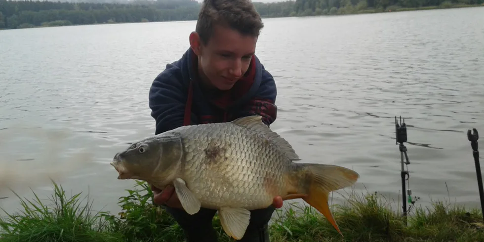 Krátkodobé vycházky