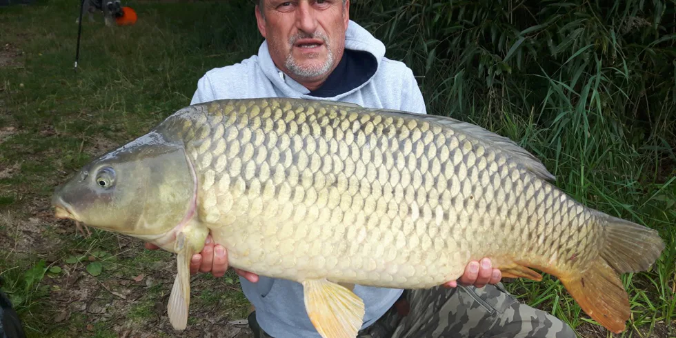 Gigantica!