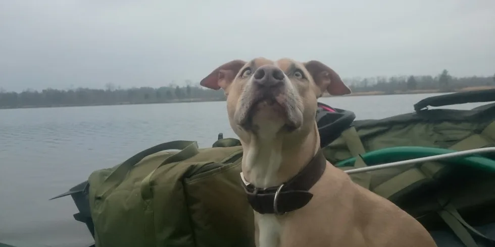 Gigantica a Devill v akci