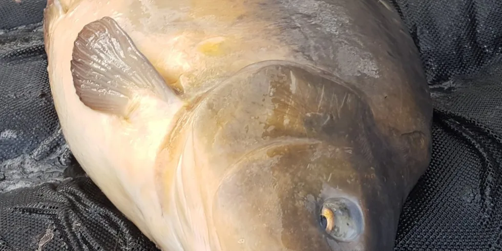 Spanilá jízda v roce 2018 pokračuje !!!