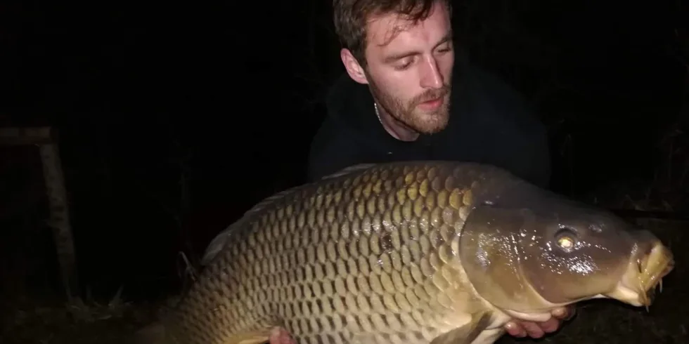 Velikonoční KrillBerry + MGS