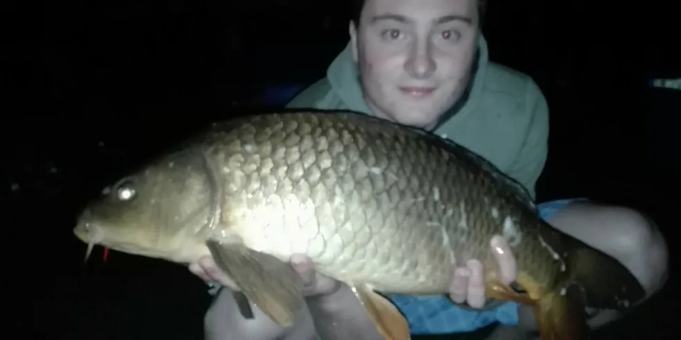 Gigantica šlape
