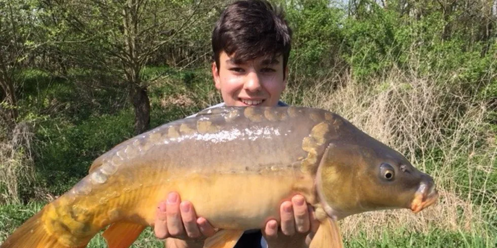 První Filipova výprava