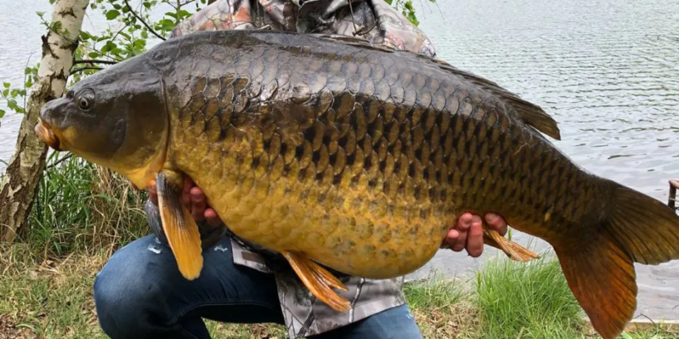 Méně je nekdy vice!