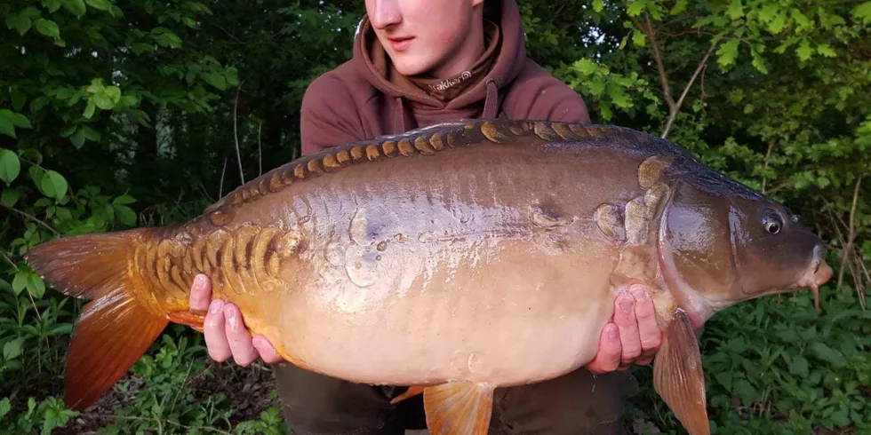 Maximalni využití času