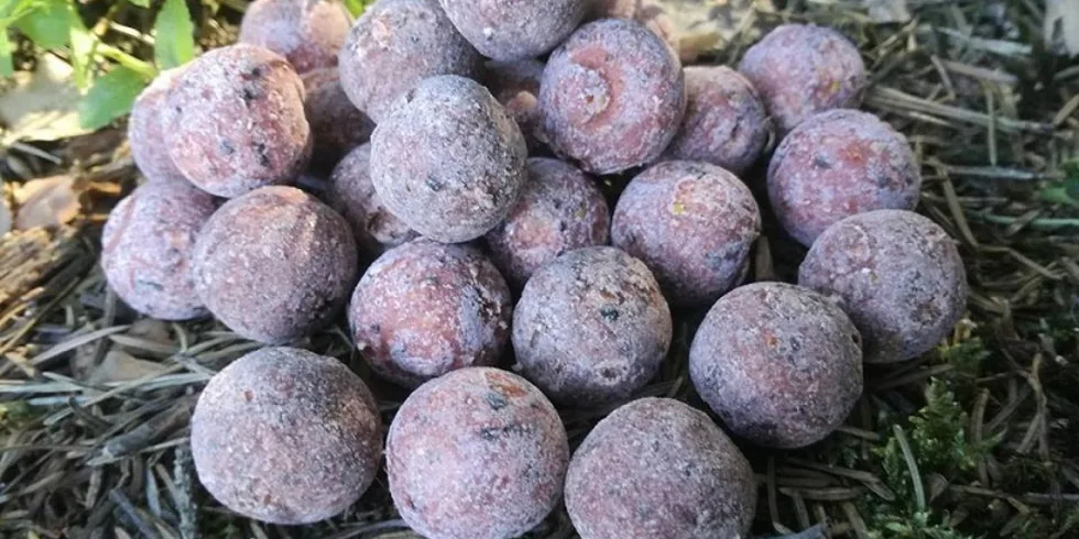 Splnění snu s Extasy 1/2