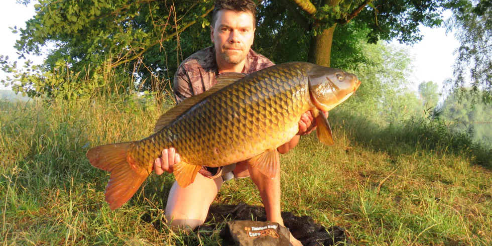 Criticals 3XL v akci