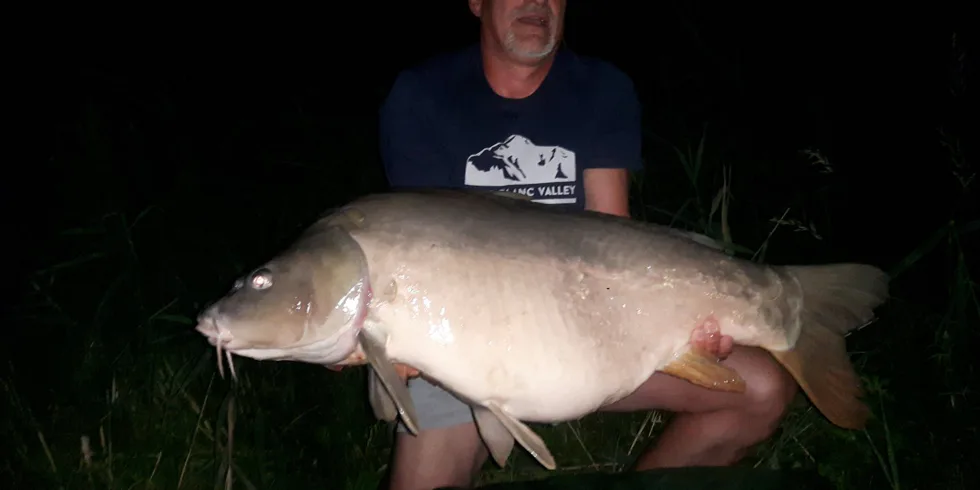 Gigantica na Štítu