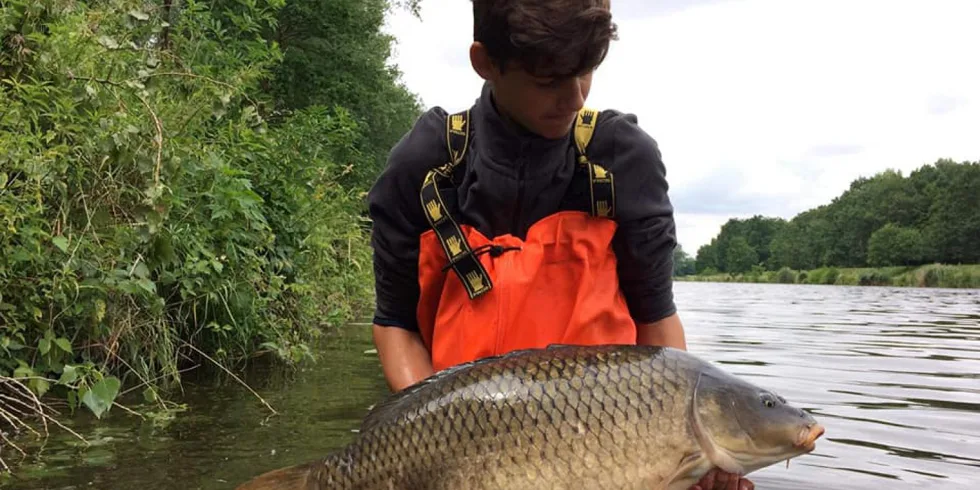 Criticals Devill v akci