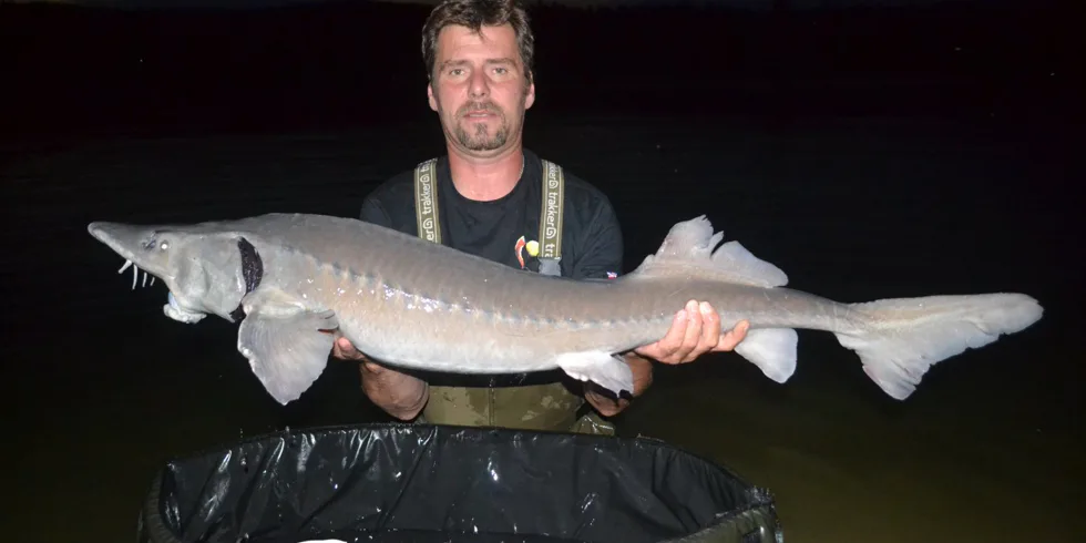 Jeseteří radovánky