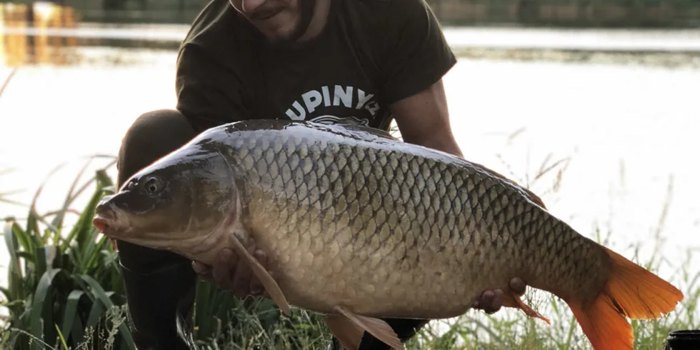 20h vycházka s přítelkyní
