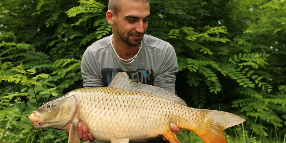 Šintavské bágrovisko