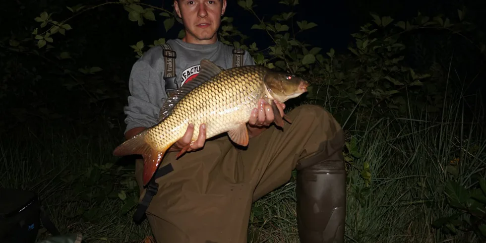 Gigantica
