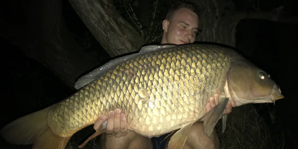 První srpnový týden na Labi