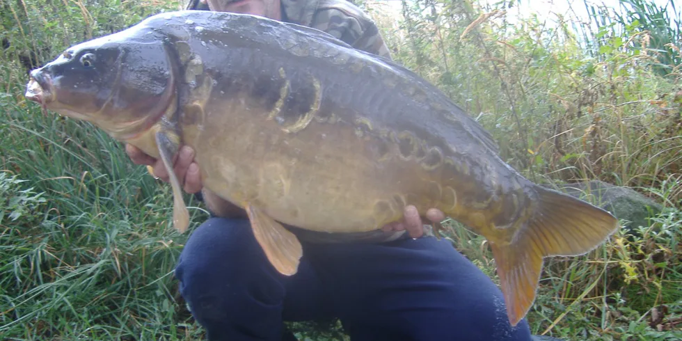 Krásný týden u vody