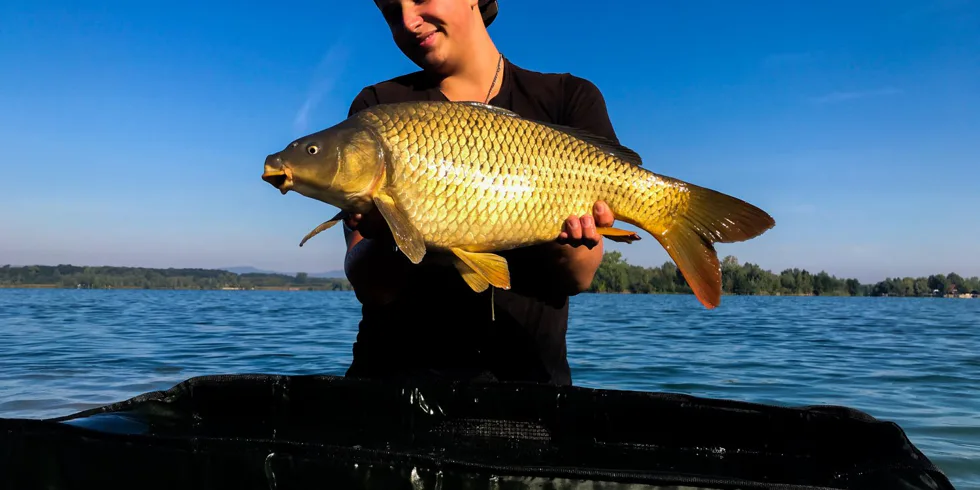 Utrpení na štěrkopískovišti