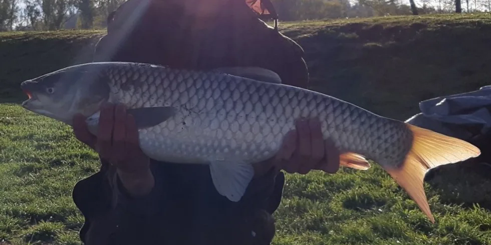 Studijní volno u svazové vody