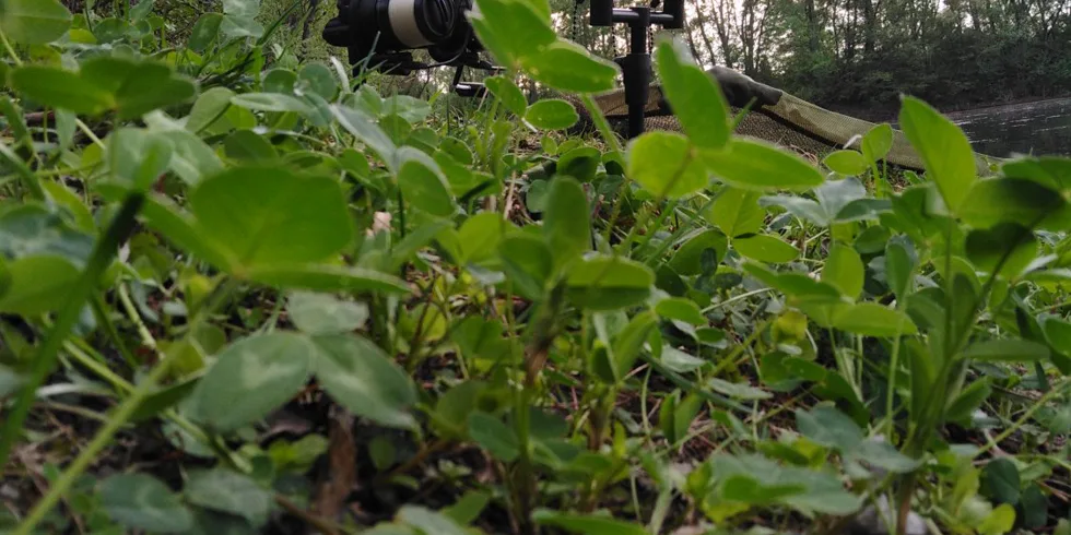 Velikonoční svátky