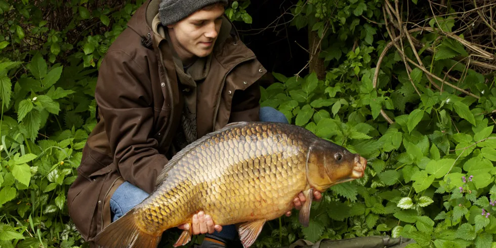Nové místo na Vltavě