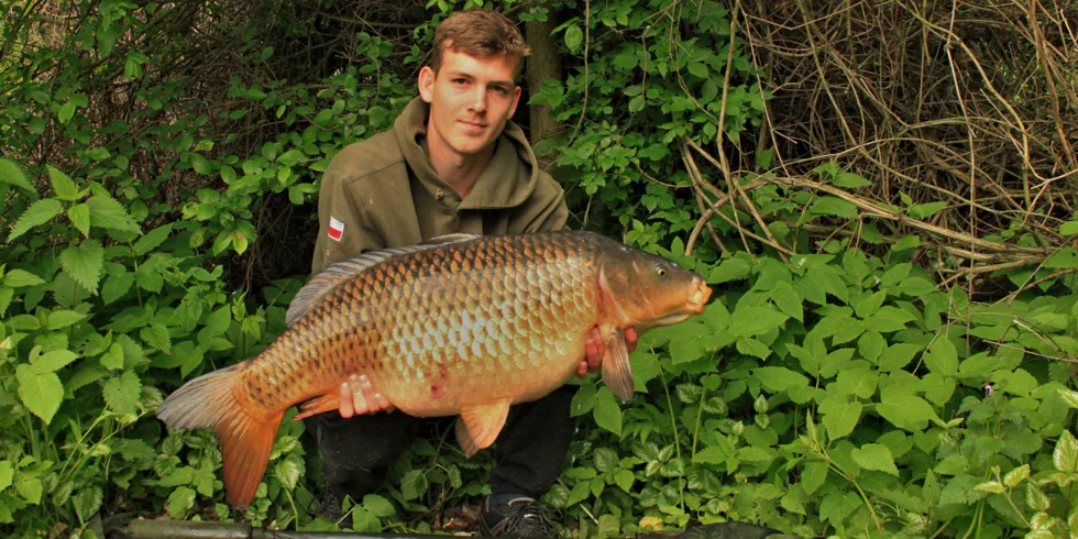 Další ze série vltavských kaprů