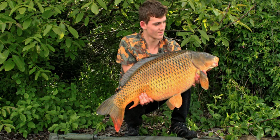 Další krátká vycházka