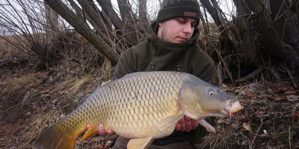 Tříhodinová vycházka