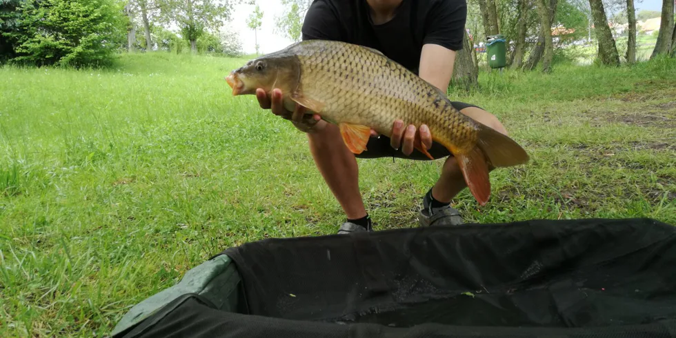 Krátká odpolední vycházka