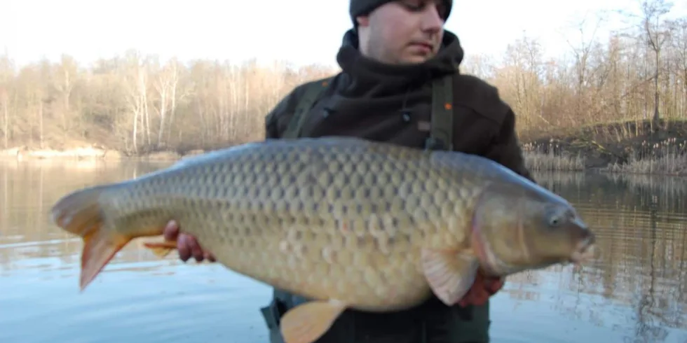 Dva šupináči z dubna