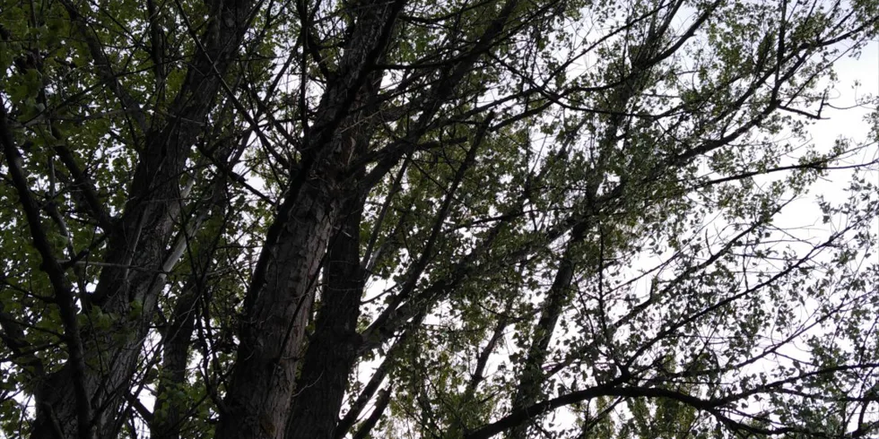 Aj s krátkou výpravou môžte byť úspešný.