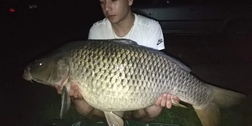 5 dní na Slapech - online od vody