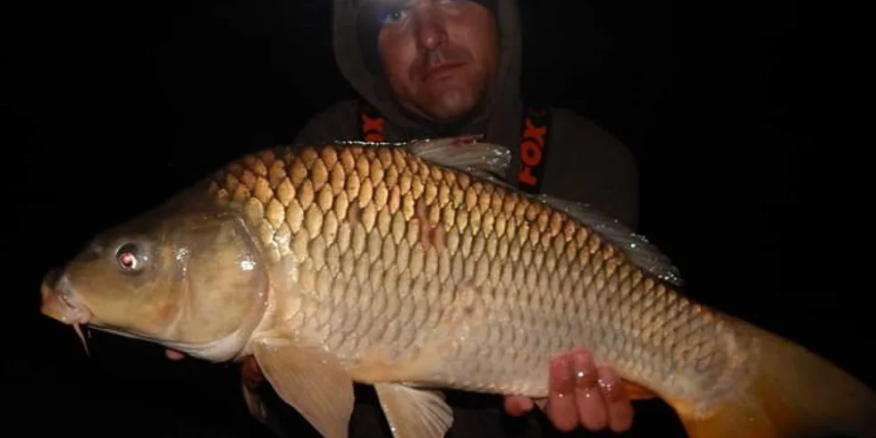 Gigantica!