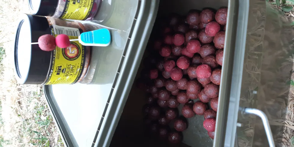 Dva splněné sny v jeden den