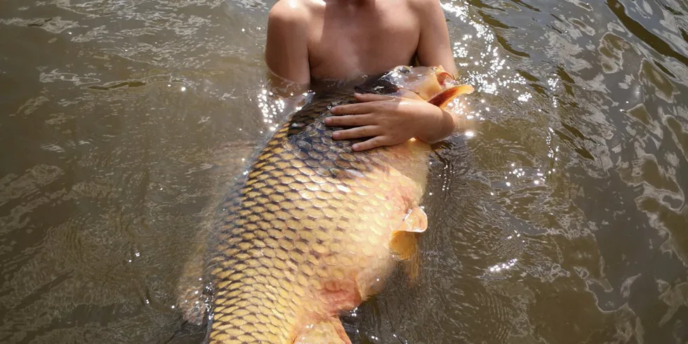 Jihočeská přehrada