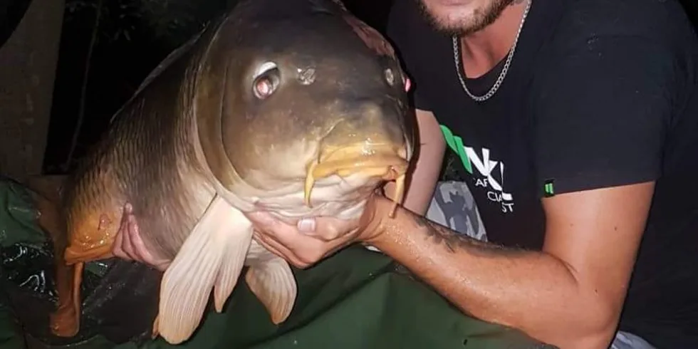 Moje první "dvacka"