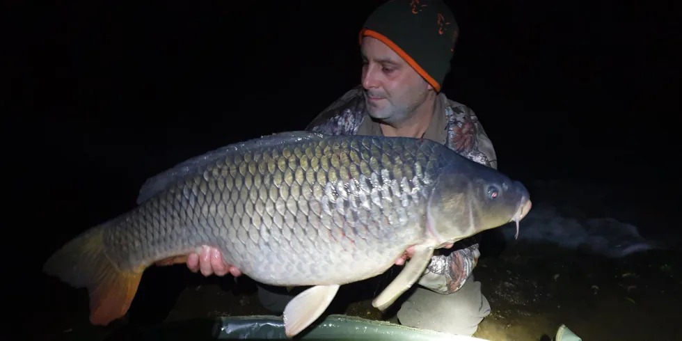 D5 - Devill Krill a Gigantica