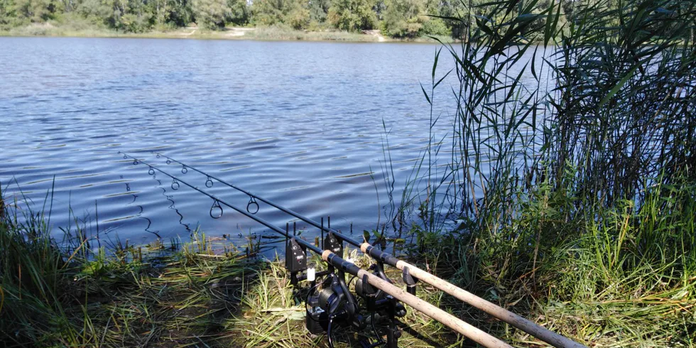 Poslední letní vycházka