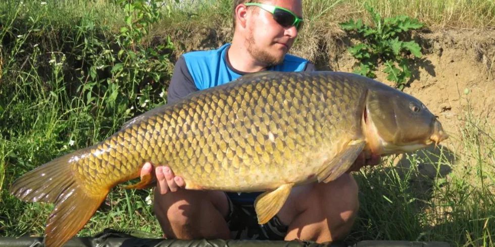 Nesmrtelný Kill Krill