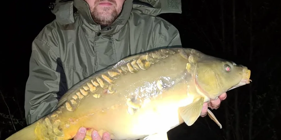 Boilies v dipu Salmon & Peach