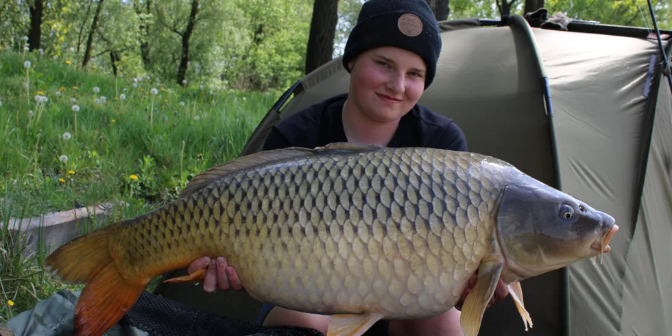 Devill krill na prvním místě