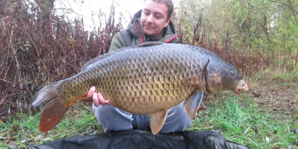 Poslední víkend v listopadu