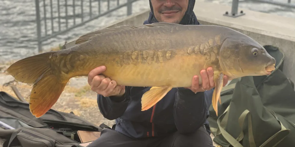 Nesmrtelný Kill Krill