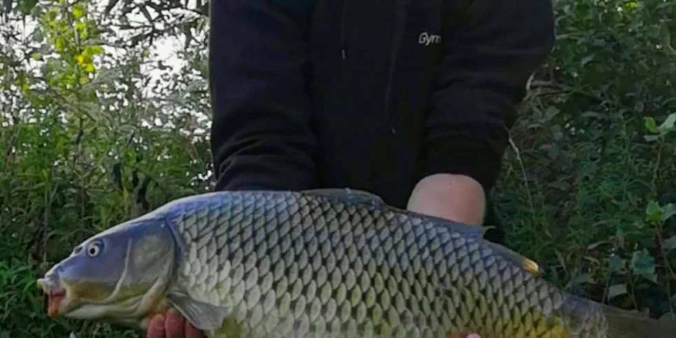 Nesmrtelný Devill Krill