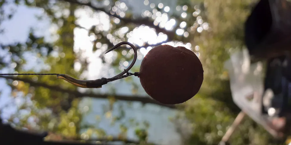 Krátka vychádzka v podaní boilies 68