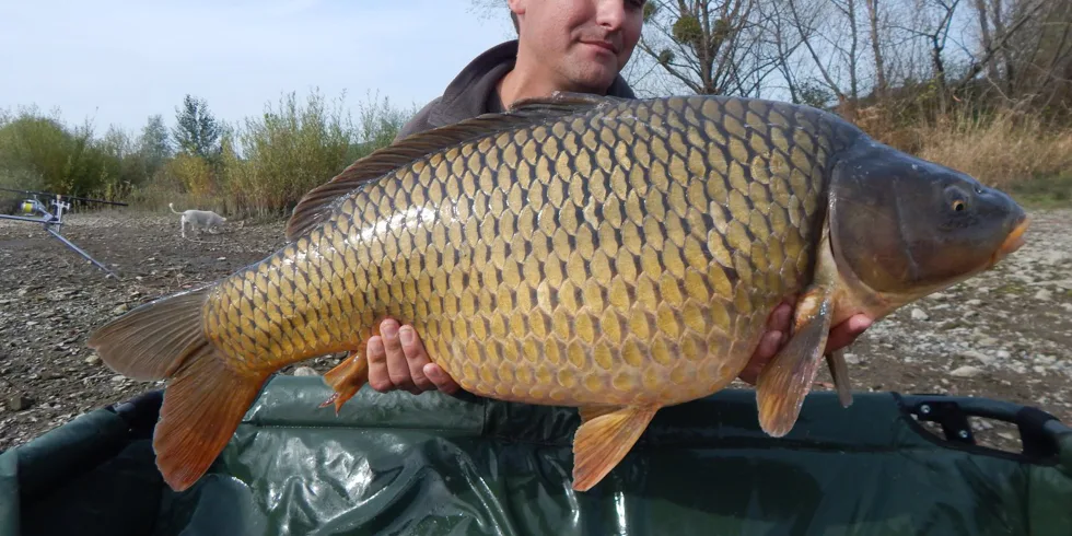 Zemplínská Šírava