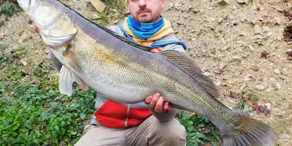 Pěkný úlovek candáta!